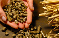 free Semer biomass boiler quotes