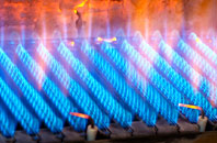 Semer gas fired boilers